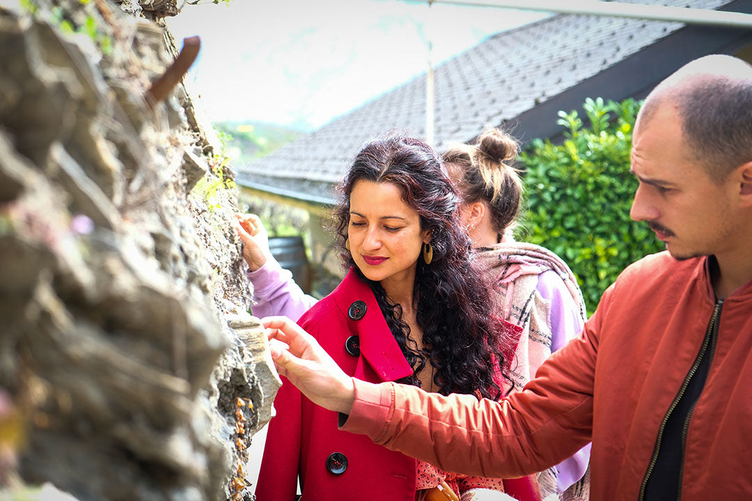 11.11.23 | Fêtons ensemble notre Prix Art & Culture au Best of Wine Tourism lors de notre journée Portes Ouvertes, les Automnales!