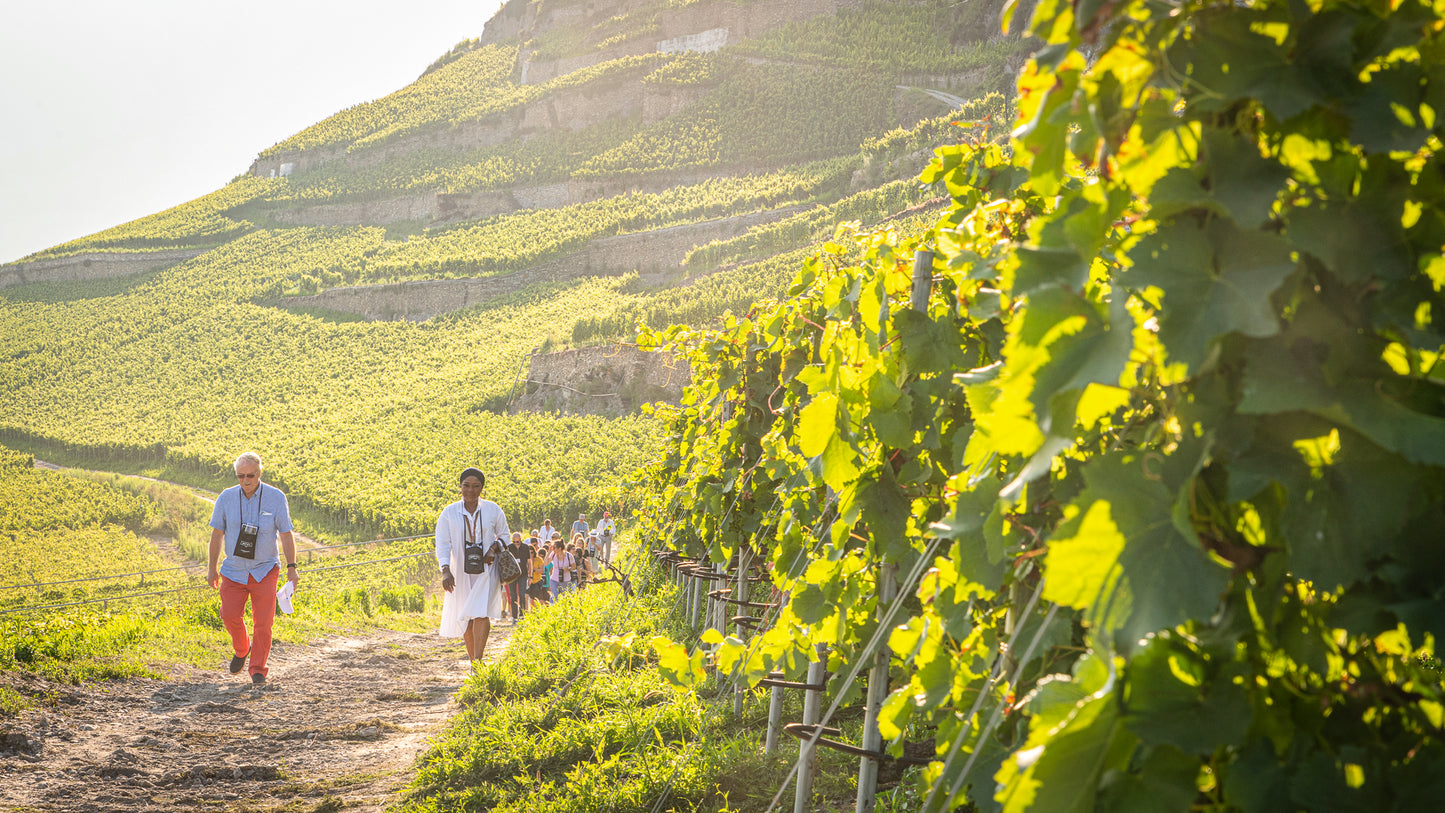 13.05 | ART & WEIN- SPAZIERGANG