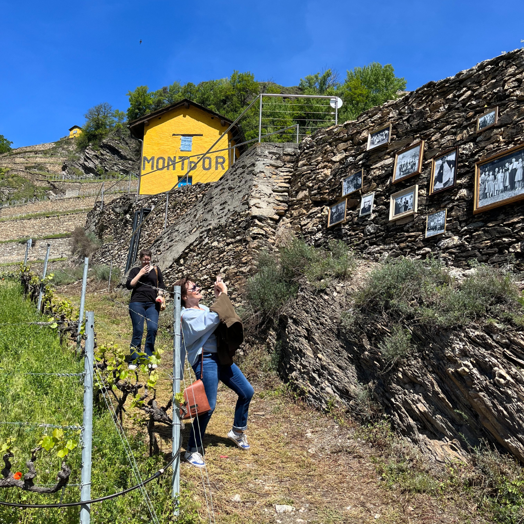 13.05 | ART & WEIN- SPAZIERGANG