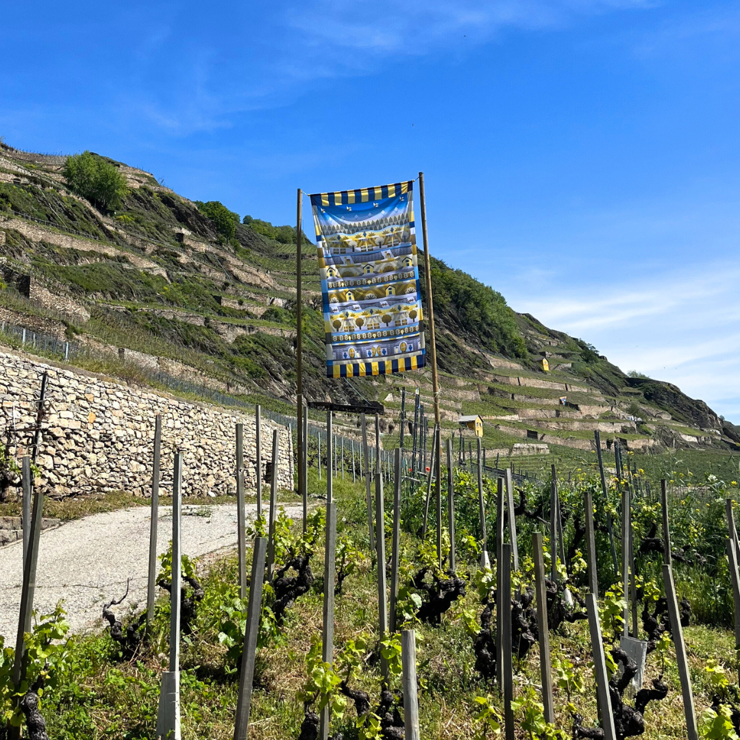 13.05 | ART & WEIN- SPAZIERGANG