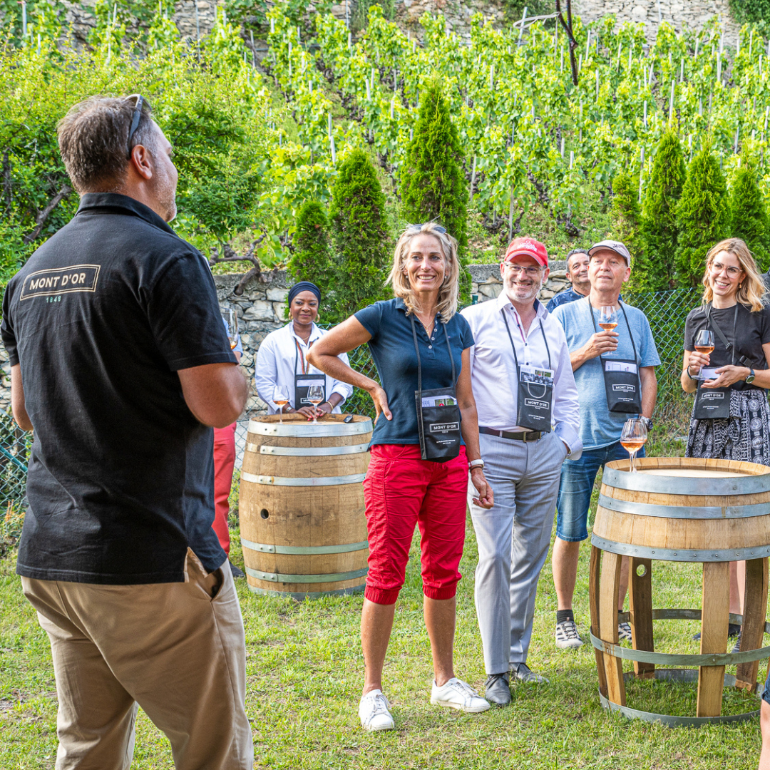 visite et dégustation de rosé pigalle