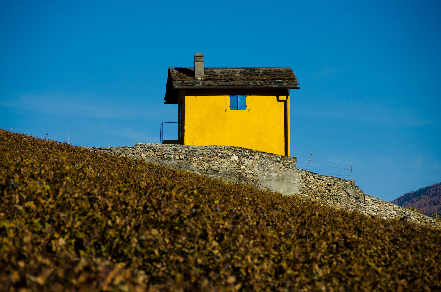 Bon Cadeau Domaine du Mont d'Or