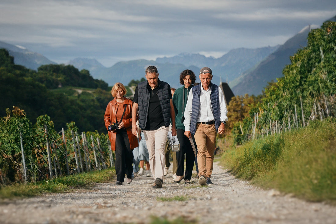 Le Domaine du Mont d'Or sacré au Global Best Of Wine Tourism 2026