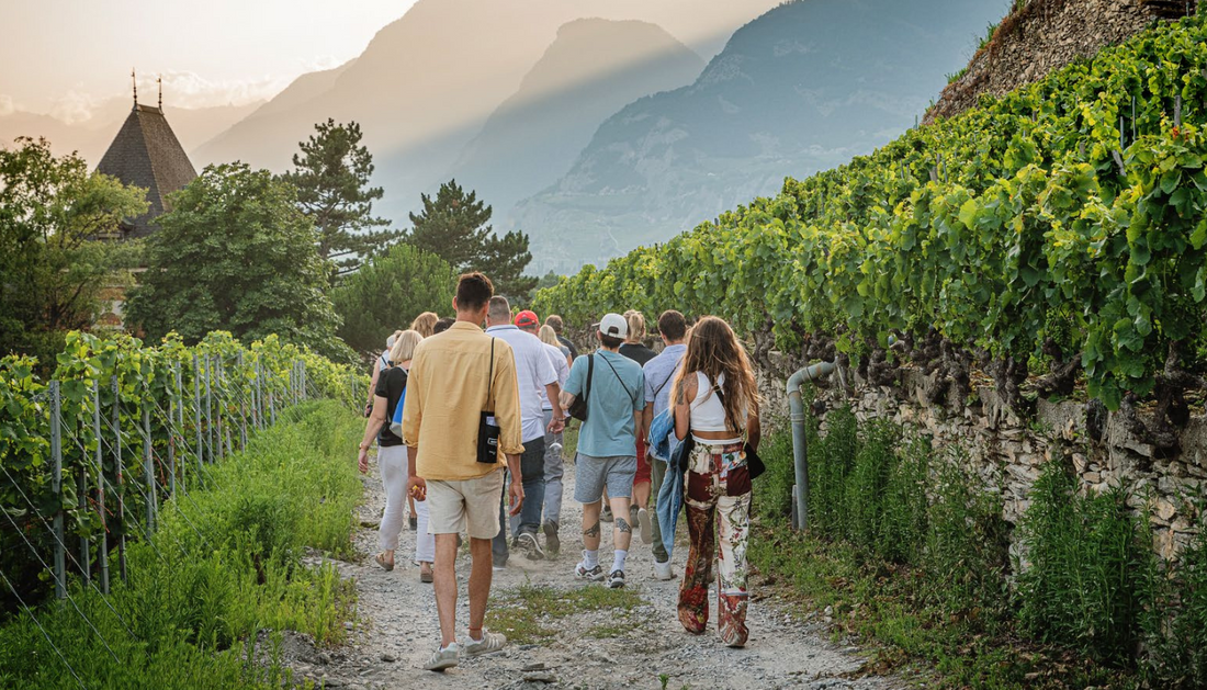 JOURNEE PORTES OUVERTES "LES AUTOMNALES" - SA 08 NOVEMBRE 2025