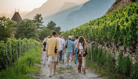 JOURNEE PORTES OUVERTES "LES AUTOMNALES" - SA 08 NOVEMBRE 2025