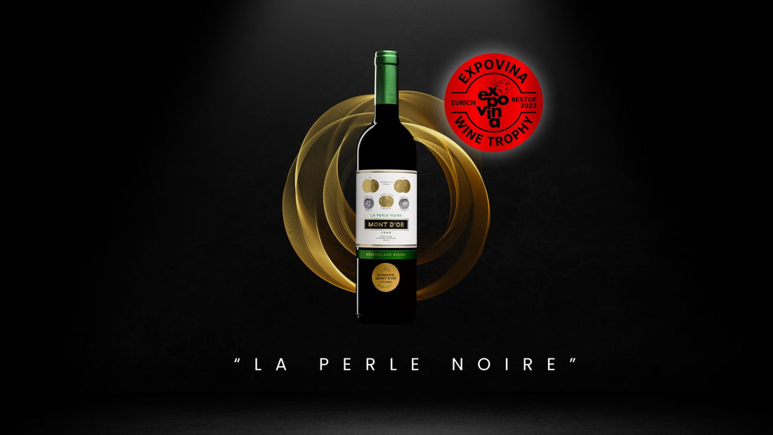 🏆Découvrir le Meilleur Vin Rouge Suisse à Expovina Wine Trophy 2023: "La Perle Noire" 2022 du Domaine du Mont d'Or