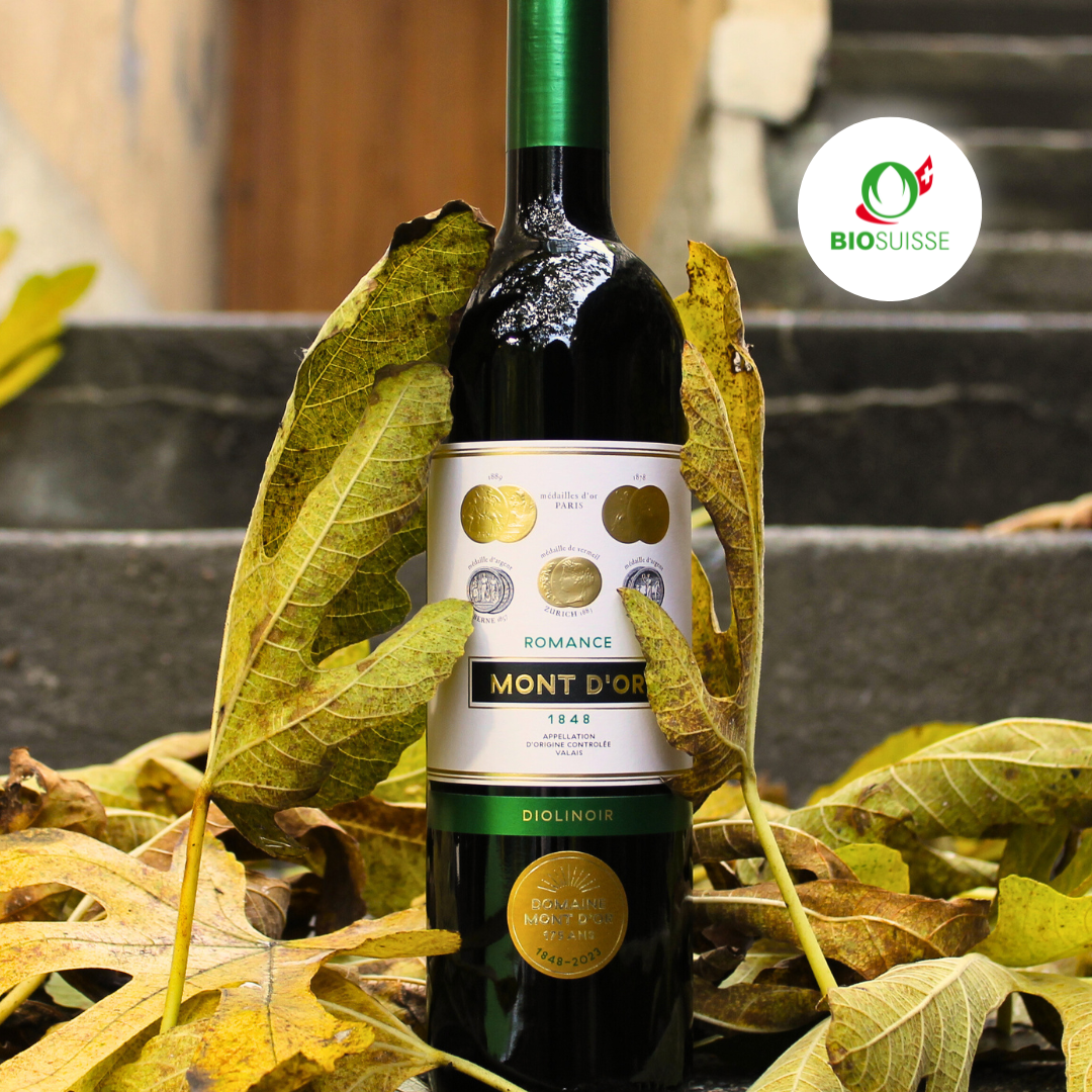 bouteille de vin rouge du Valais, Diolinoir Romance au milieu des feuilles