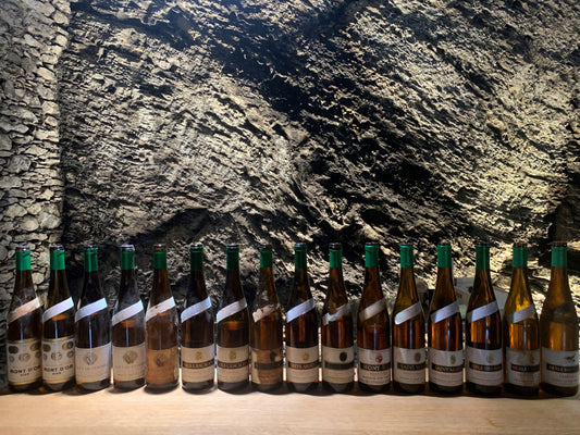 DÉGUSTATION EXCLUSIVE AUTOUR DU SYLVANER, APÉRITIF CHÂTEAU MONT D'OR ET REPAS DU TERROIR AU CHÂTEAU DE VILLA À SIERRE